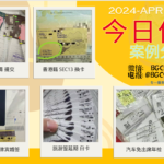 马尼拉人的单身证明是这样申请的