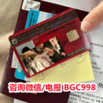 马尼拉FAB巴丹自由港FIV投资者签证 官方介绍