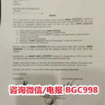 什么是马尼拉FIV永居签证