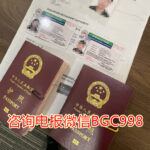 菲律宾退休移民官方合作伙伴-998VISA华人移民