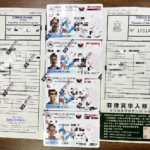 菲律宾SRRV 体检如何一次性通过